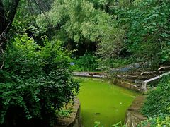 -黑龙江省森林植物园