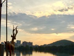 -东湖食堂·湖景餐厅•会议