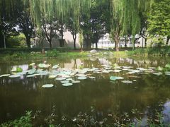 -河海大学(常州校区)
