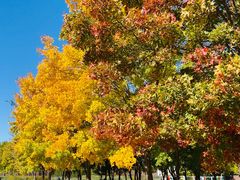 -永定河休闲森林公园