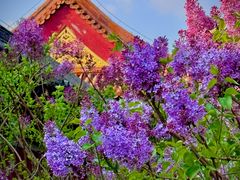 -北京市劳动人民文化宫(太庙)