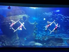 -多彩贵州城极地海洋世界