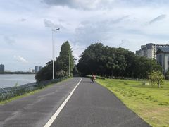 -艾溪湖湿地公园