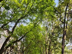 -广州神农草堂中医药博物馆