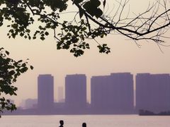 -瑶湖郊野森林公园