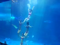 -泉城欧乐堡海洋极地世界