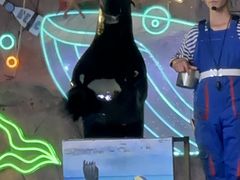 -灵玲国际马戏城