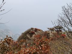 -北京凤凰岭