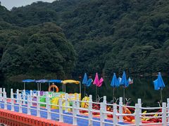-广州市石门国家森林公园
