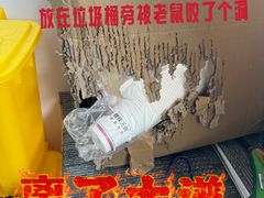 -良伴无忧宠物医院(泰欣嘉园店)