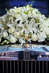 -HY小曼wedding·TOPYOUNG团队