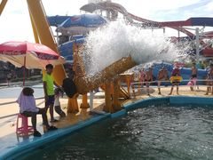 -秦皇岛乐岛海洋王国