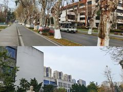 -四川大学(望江校区)