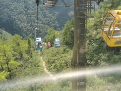-武陵山森林公园