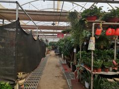 -秦美花卉(天朗·莱茵小城2期店)