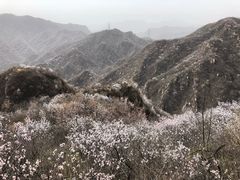 -大岭沟猕猴桃谷风景区