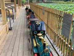 -红山村