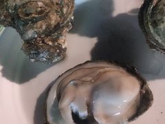 -八一湛江生蚝(文明东路总店)