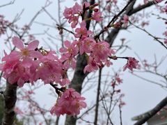 -马峦山郊野公园