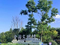 -龙坞茶村