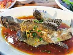 -蓝湾碧波·老字号·疍家非遗海上餐厅