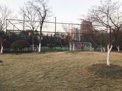 -杭州城北体育公园