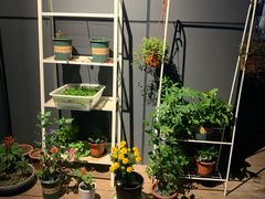 自助取餐区-Primo·丽莫意大利窑烤披萨