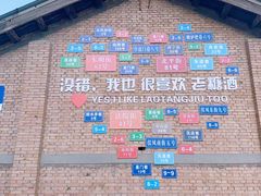 -重庆下半城老火锅(糖酒公司店)