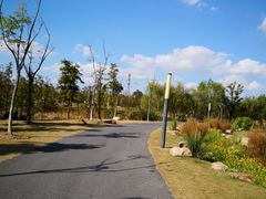 -上海长兴岛郊野公园