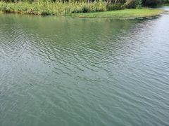 -昆山城市生态森林公园