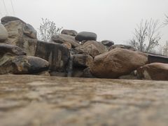 -莲花池公园
