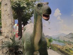 -国家自然博物馆