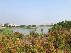 -塘沽森林公园