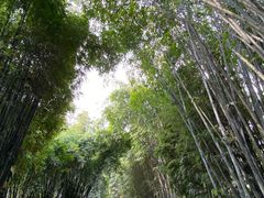 -望江楼公园