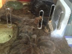 -Rabbit Cafe私房西餐甜点咖啡(栖霞路店)