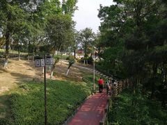 -铁山坪森林公园