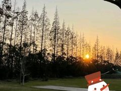 -前小桔亲子创意农场·草莓采摘·露营烧烤