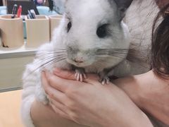 -藦茜花园宠物主题亲子互动体验馆(国顺东路店)