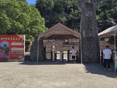 -蛇蟠岛