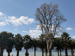 -豆香园(龙翔店)