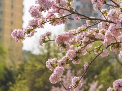 -海棠花溪(元大都城垣遗址公园)