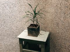 -时光花园(白鹭洲店)