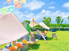 -春花秋色城市公园