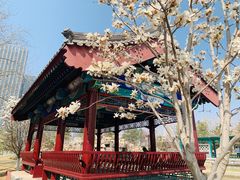 -西海子公园