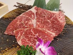 -千寻山野烤肉(中关村店)
