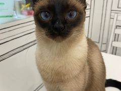 -白夜2D咖啡馆