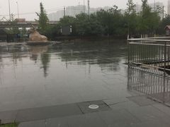 -永定河休闲森林公园