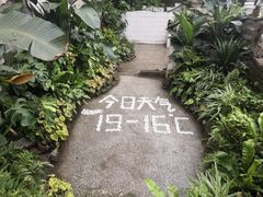 -山城巷传统风貌区