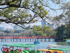 -东山湖公园