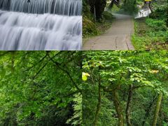 -西岭雪山大飞水景区
